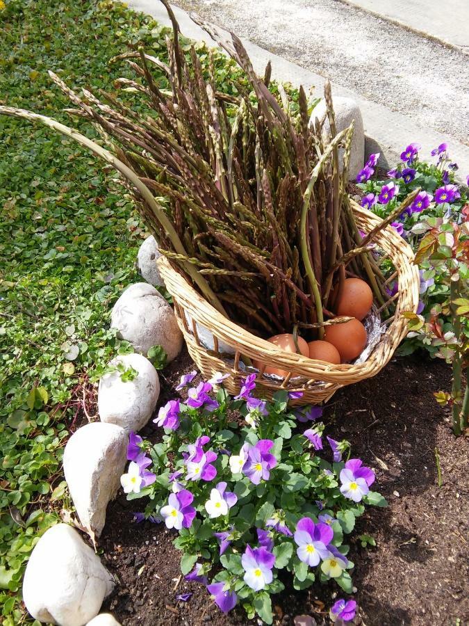 Apartman Nevia Holiday Home Ciritez Zewnętrze zdjęcie