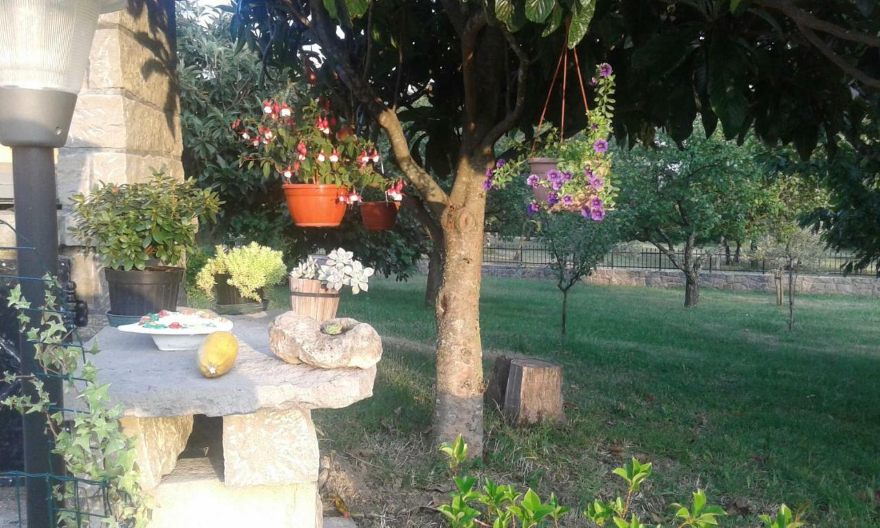 Apartman Nevia Holiday Home Ciritez Zewnętrze zdjęcie